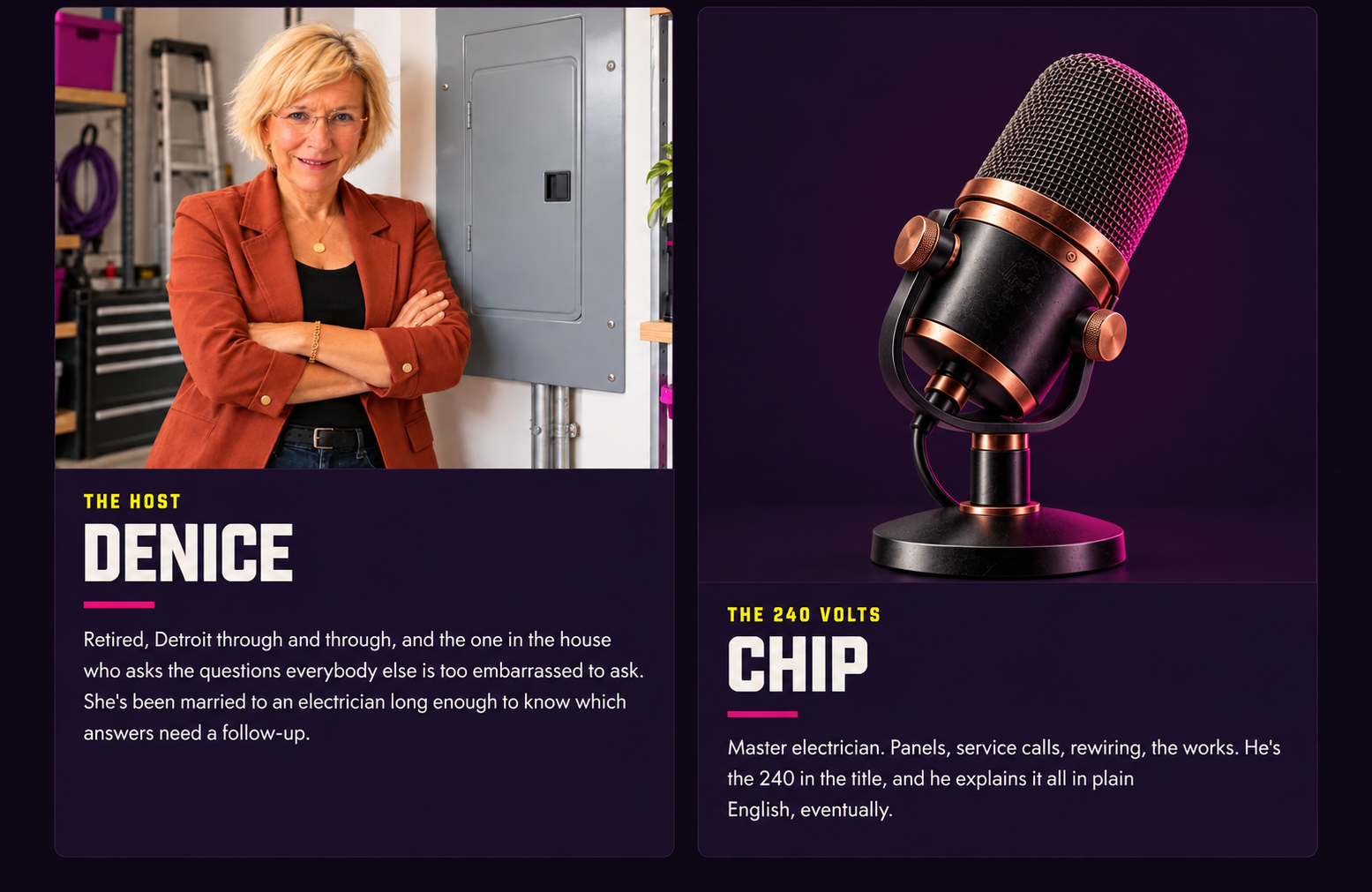 Married to 240 Volts website host section, web design: Denice by a breaker panel and a copper studio microphone standing in for Chip, the master electrician